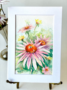 “Echinacea”